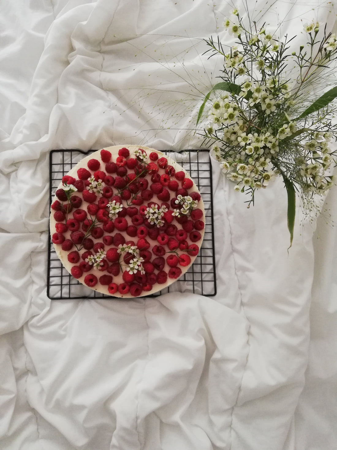 Cheesecake cu zmeura